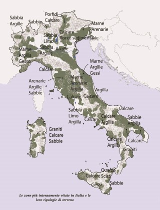 vini-d-italia-presentazione_Page_10
