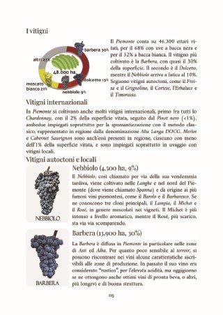 vini-d-italia-presentazione_Page_22