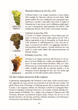 vini-d-italia-presentazione_Page_24