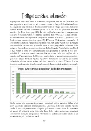vitigni - presentazione_Page_22