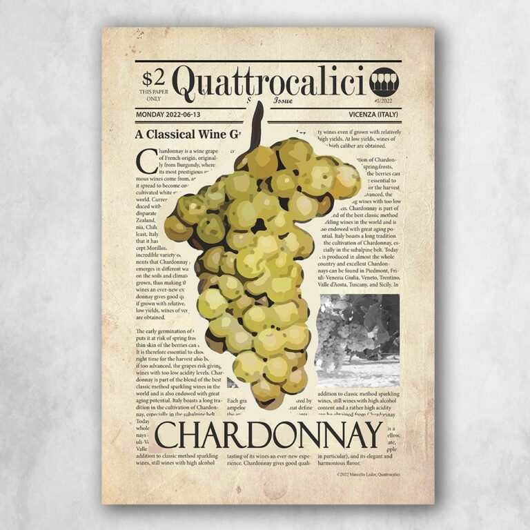 poster sul vino chardonnay
