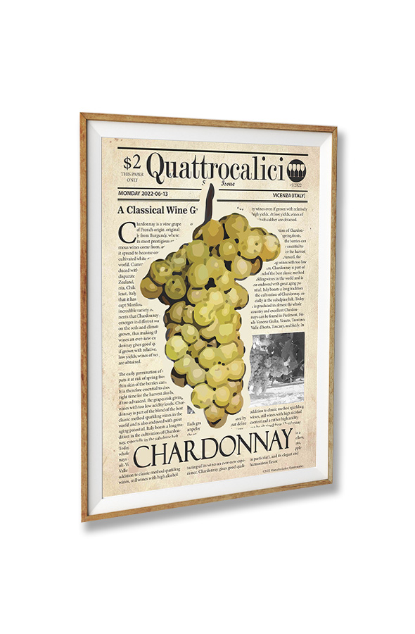poster vitigni chardonnay