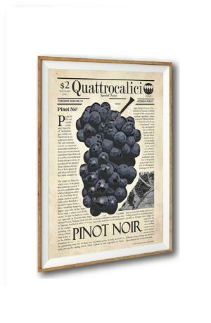poster sul vino pinot noir