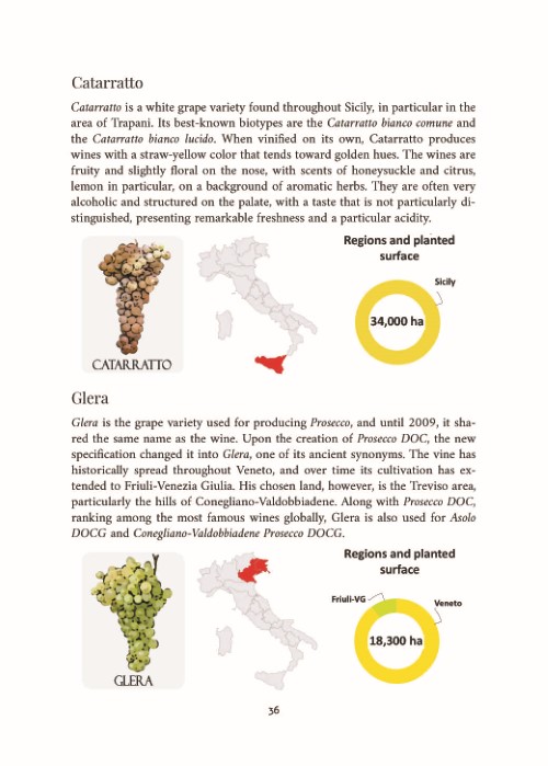 italy-of-wines-presentazione-full_Page_12