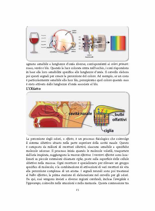 Degustazione-Abbinamento-presentazione_Page_06